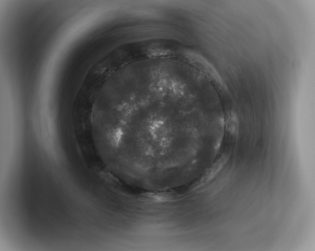 X0000101710763200807311452