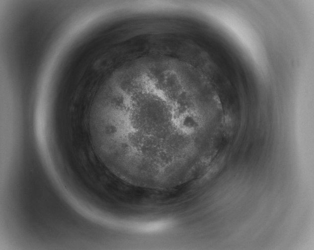 X0000101710765200807311452