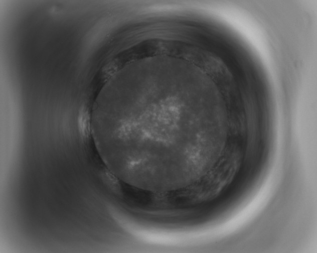 X0000101710766200807311452