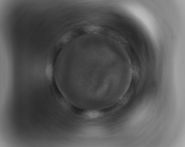 X0000101710767200807311452