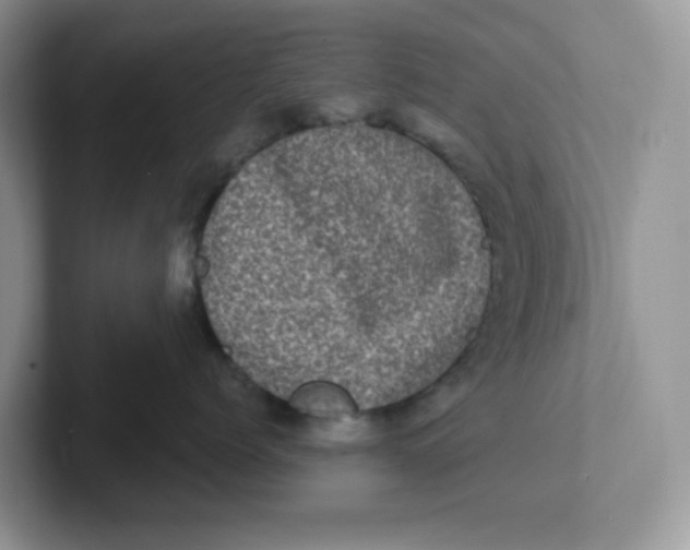 X0000101710768200807311452