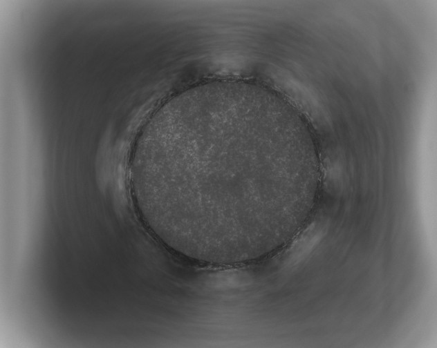 X0000101710769200807311451