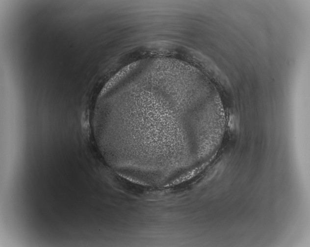 X0000101710771200807311451