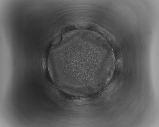 X0000101710772200807311451