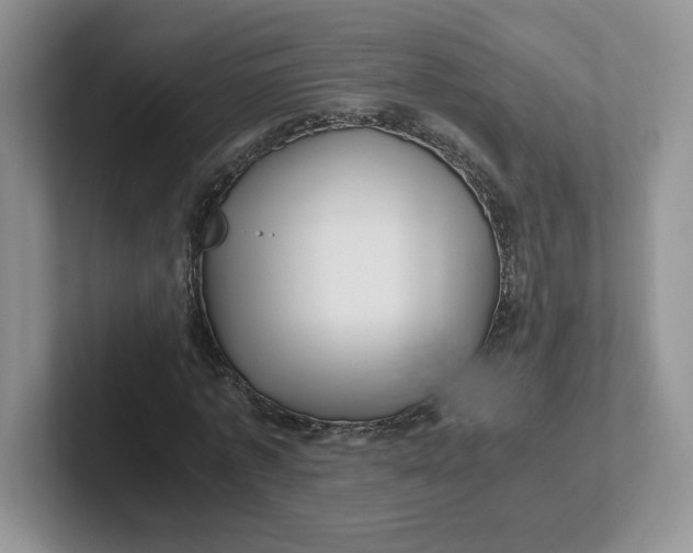 X0000101710773200807311451