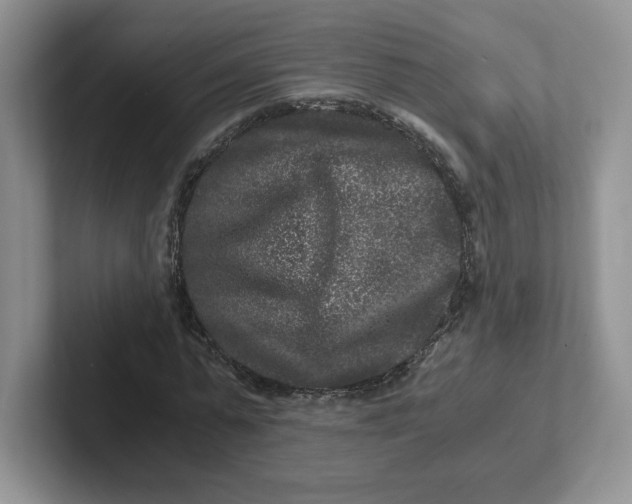 X0000101710775200807311451