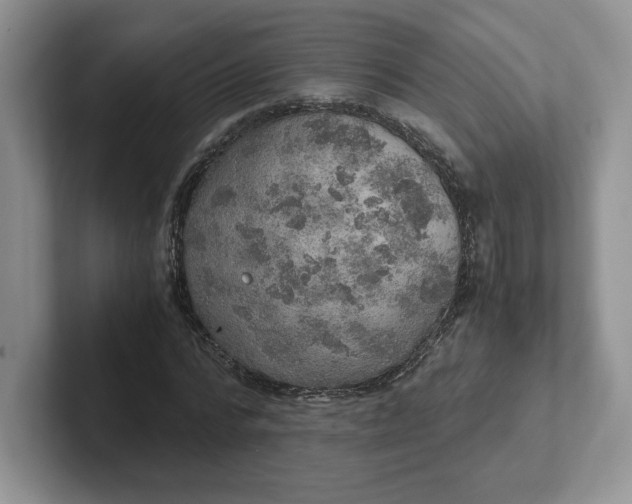 X0000101710776200807311451