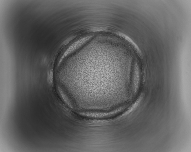 X0000101710777200807311451