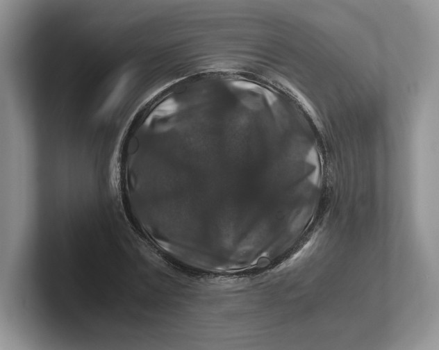 X0000101710779200807311451