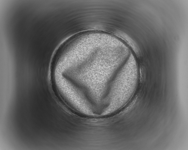 X0000101710780200807311451