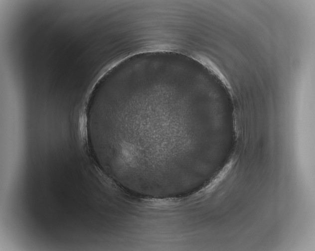 X0000101710781200807311451