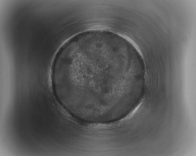 X0000101710783200807311451