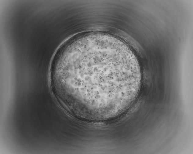 X0000101710784200807311451