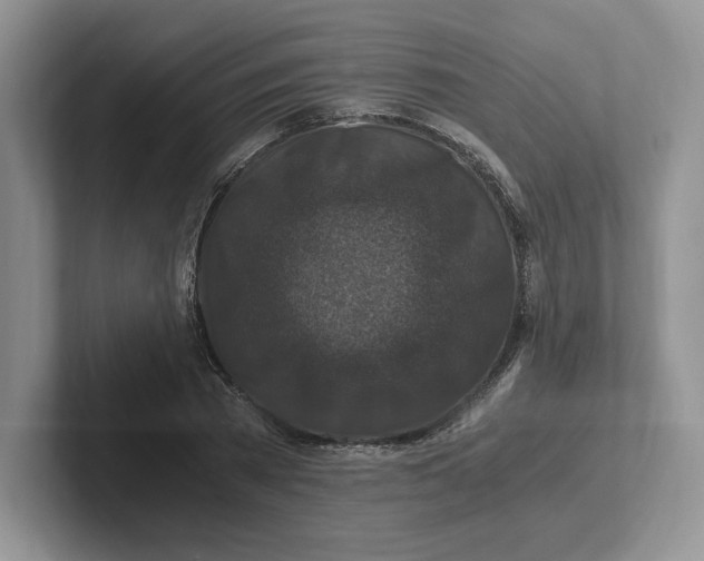 X0000101710785200807311451