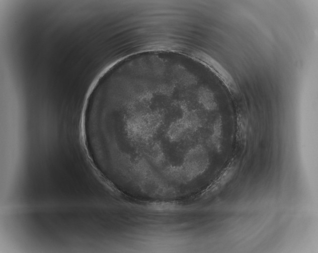 X0000101710788200807311451