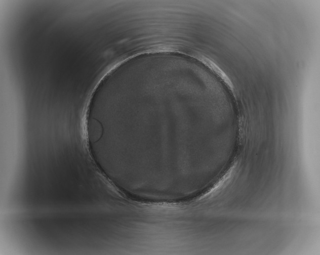 X0000101710789200807311451