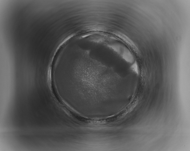 X0000101710790200807311451