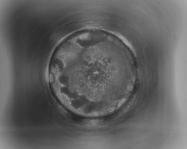 X0000101710791200807311451