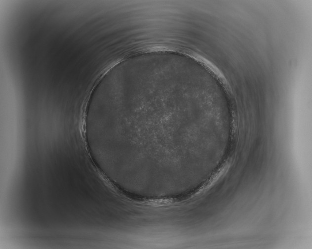 X0000101710793200807311451