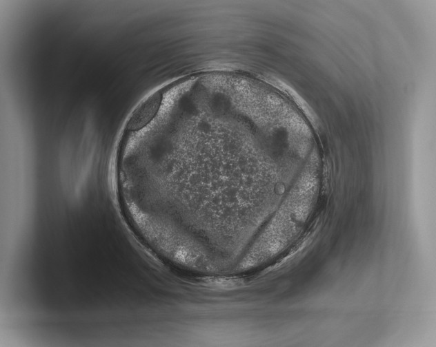 X0000101710795200807311451