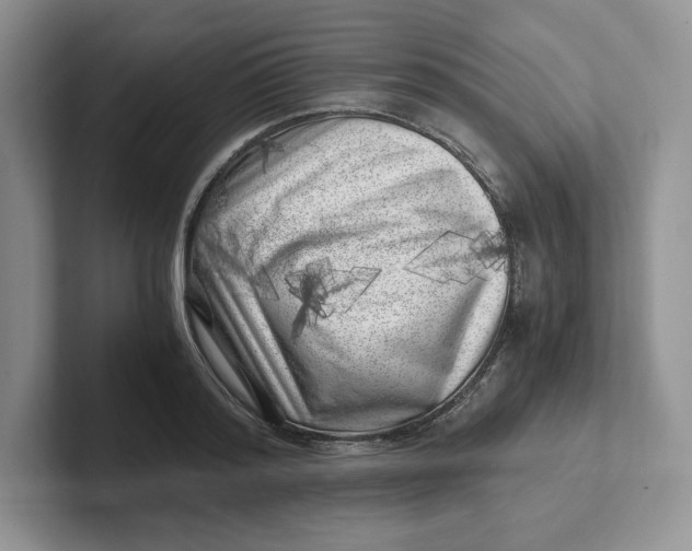 X0000101710796200807311451