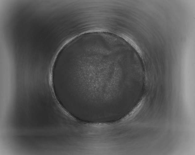 X0000101710797200807311451