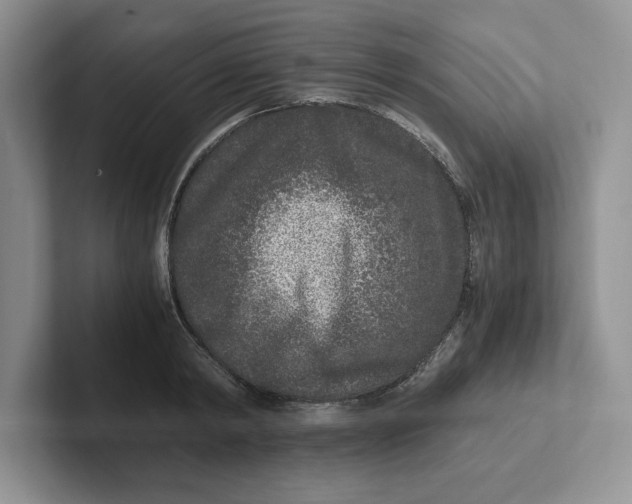 X0000101710798200807311451