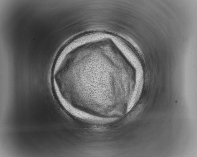 X0000101710799200807311451