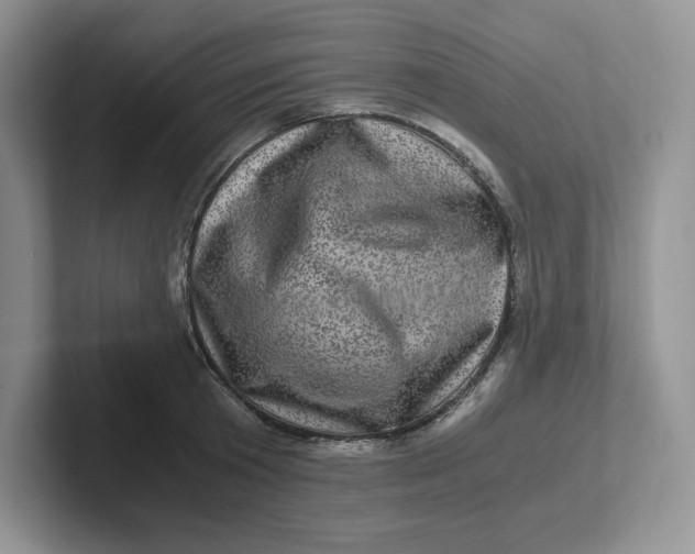 X0000101710801200807311451