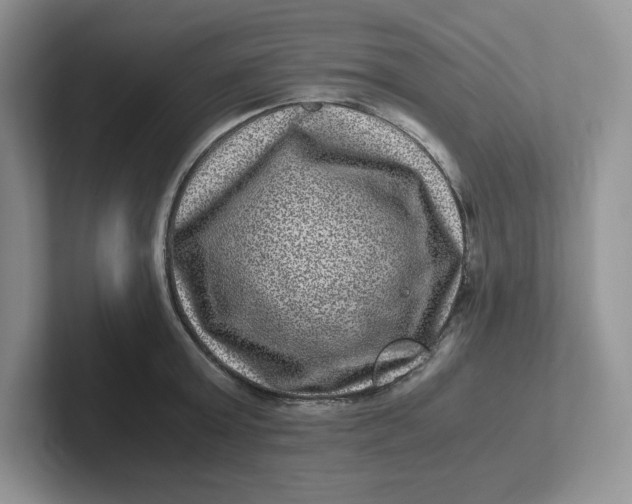 X0000101710803200807311451