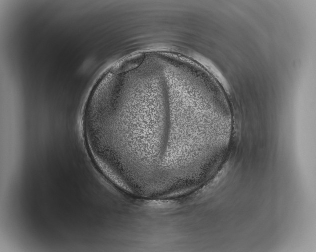 X0000101710805200807311451