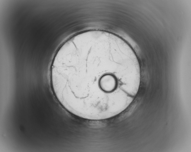 X0000101710807200807311450