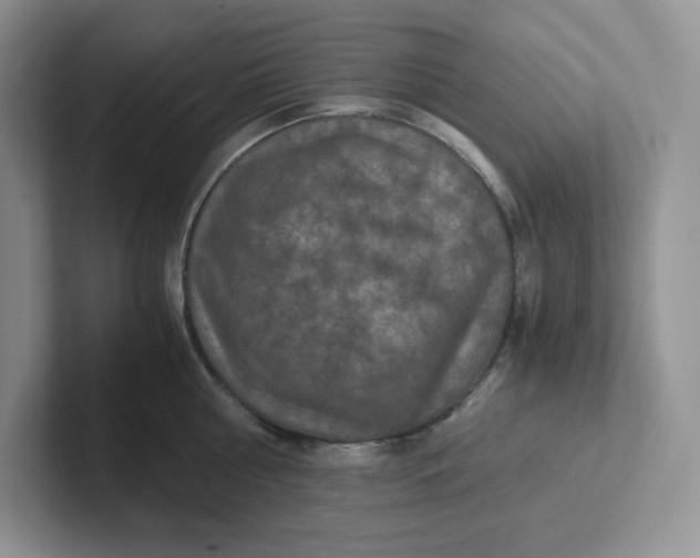 X0000101710810200807311450