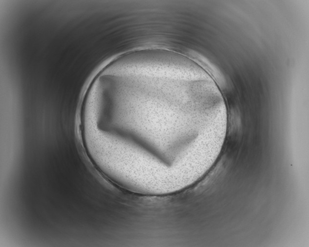 X0000101710812200807311450