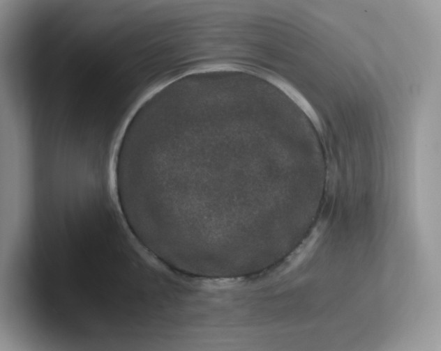 X0000101710813200807311450