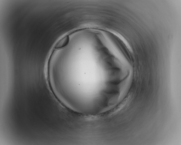 X0000101710815200807311450