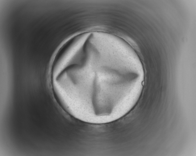 X0000101710816200807311450