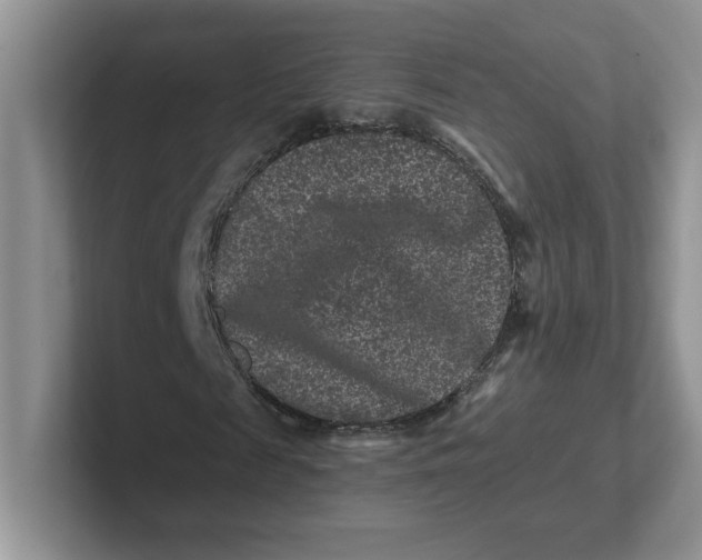 X0000101710817200807311450