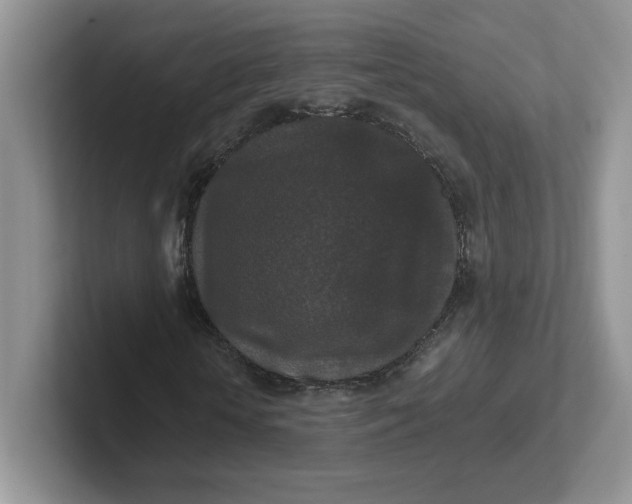 X0000101710818200807311450