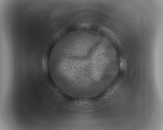 X0000101710819200807311450