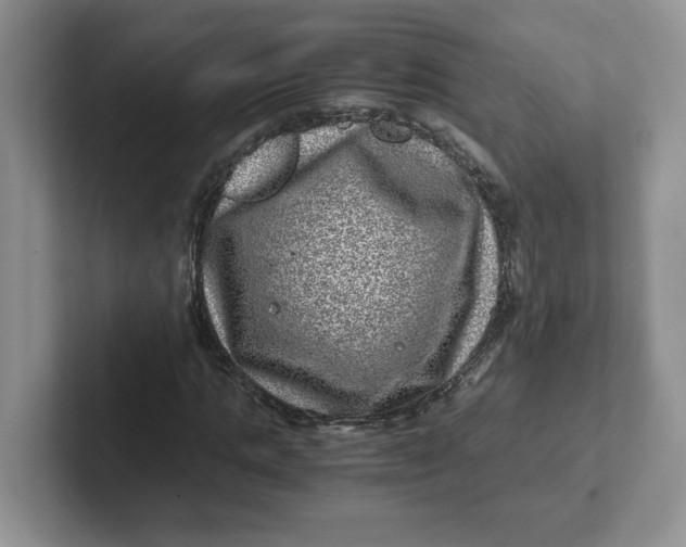 X0000101710821200807311450