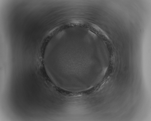 X0000101710822200807311450