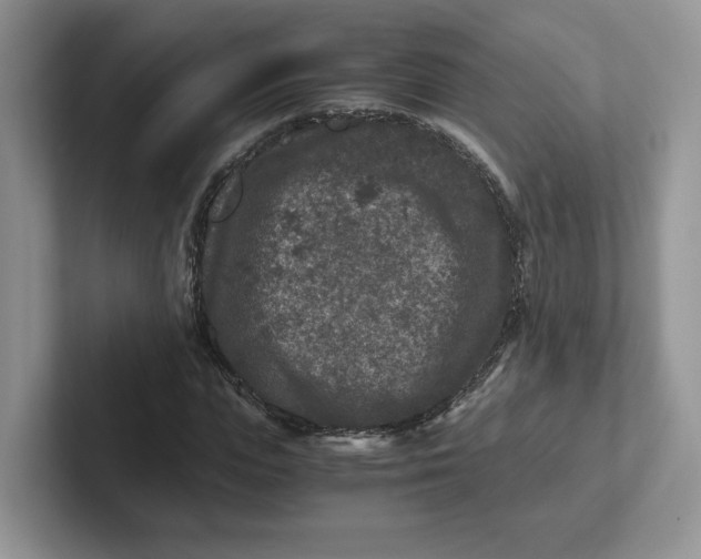 X0000101710823200807311450