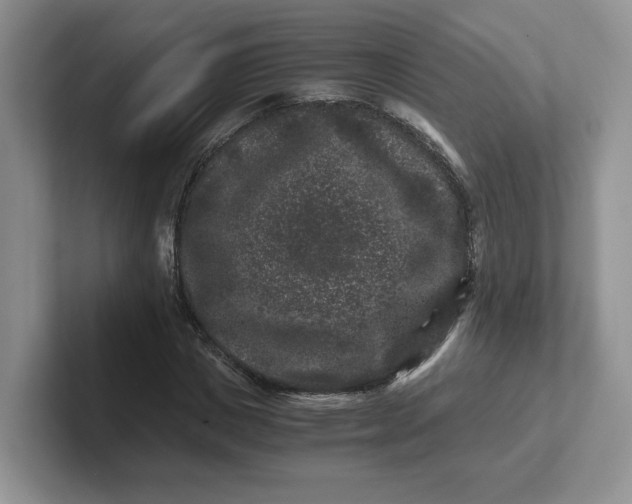 X0000101710825200807311450