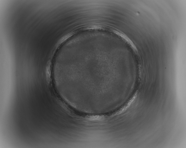 X0000101710826200807311450