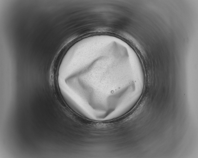 X0000101710827200807311450