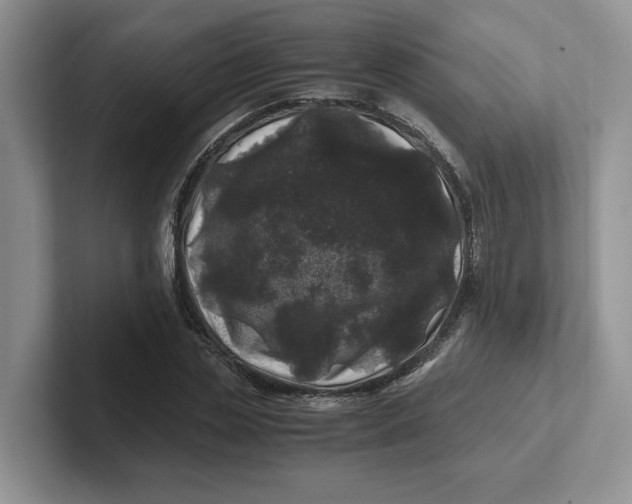 X0000101710829200807311450