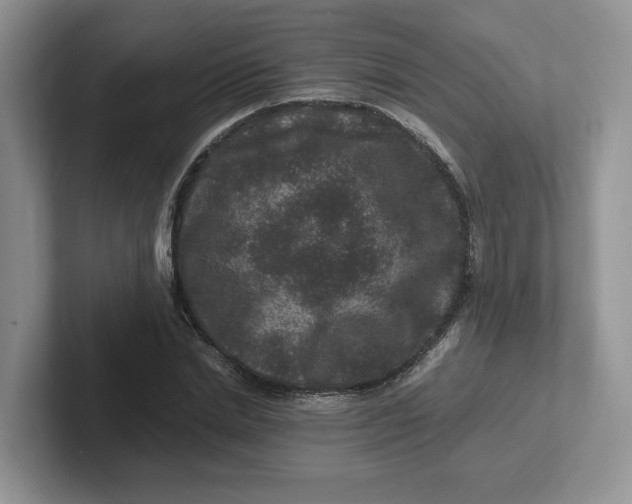 X0000101710830200807311450