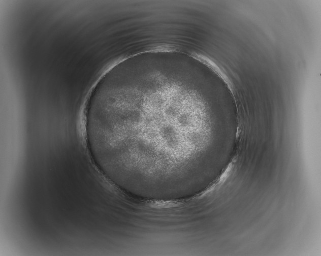 X0000101710835200807311450