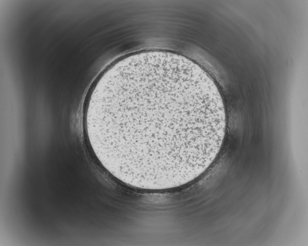 X0000101710836200807311450